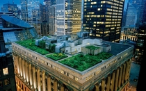 Chicago City Halls Green Roof 