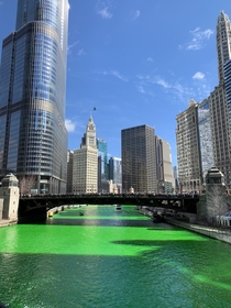 Chicago IL on St Patricks Day 