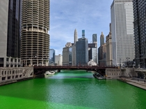 Chicago River dyed green for St Patricks day 