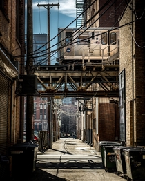 Chicagos back alleys are the best on earth
