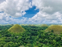 Chocolate Hills Bohol Philippines Ive never seen so many hills in one place OC x