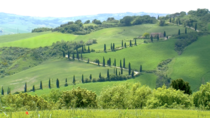 Classical Italian agricultural landscape