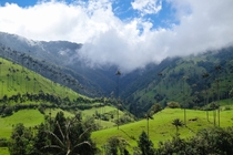 Cocora Valley Colombia The real Jurassic Park home to the tallest palm trees in the world 