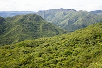 Colombian tropical dry forest 