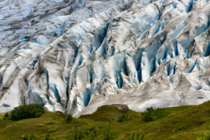 Color Contrasts Exit Glacier Harding Icefield Alaska 