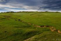 Colorado Pretending To Be Ireland Pawnee National Grasslands 