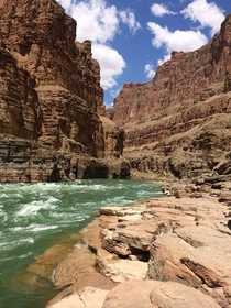 Colorado River Grand Canyon Natl Park  day river trip - Should be required activity for all mankind 