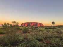 Colors of Uluru during sunset 