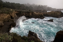 Contrawave at Point Lobos CA 