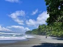 Corcovado National Park Osa Peninsula Costa Rica 