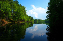 Cranberry Pond Massachusetts 