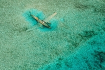 Crashed Curtiss C- aircraft near Normans Cay Exumas Bahamas  photo by Bjorn Moerman
