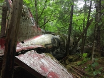 Crashed Plane in Southeast Alaska