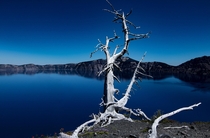 Crater Lake from Wizard Island 