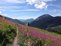 Crested Butte CO 