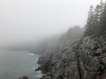 Cutler Coast Maine 