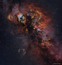 Cygnus Skyscape by Alistair Symon