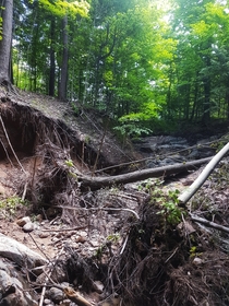 Damage caused by flood waters after a beaver dam collapsed Ontario Canada  OC