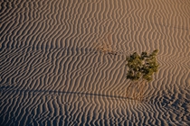 Dawns Maze --- Death Valley --- 