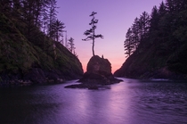 Dead Mans Cove at blue hour Cape Disappointment WA 