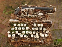 Decayed and abandoned typewriter I dont think its salvageable 