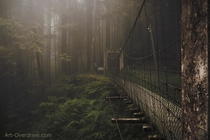 Decaying footbridge in the Cloud Forest of Alishan Mountains Taiwan  by Morgan Kinkel