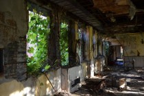 Derelict Hotel Reclaimed by Nature Russell Kentucky 