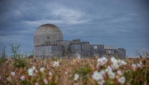 Desert blossoms and deserted reactors - Hanford Reachs WNP-