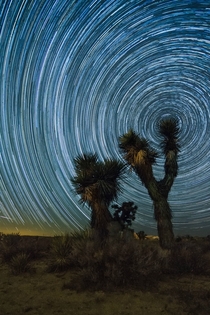 Desert Pinwheel -  Hours of Earths Rotation near Cantil CA 
