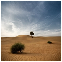 Desert Poetry Dubai UAE 