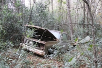Deserted truck in the middle of the forest 