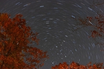 Did my first ever star trail photo this weekend Gorgeous night in a gorgeous state park Alleghany state park