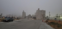 Did some soil sampling at an abandond concrete processing plant this week