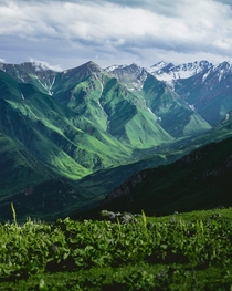 Did you know that Kyrgyzstan looked like this 