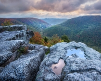 Different Hues Appalachian Region Photo by Tim Williams 