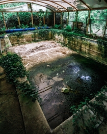Disused pool in a mansion since  