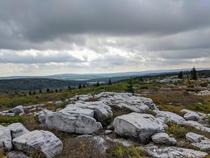 Dolly Sods West Virginia its like another world up therex
