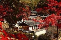 Dosan Seowon surrounded by maple leaves North Gyeongsang Province South Korea 