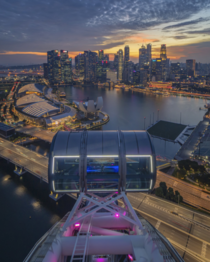 Downtown Singapore from Singapore Flyer Photo credit to Shirly Hamra