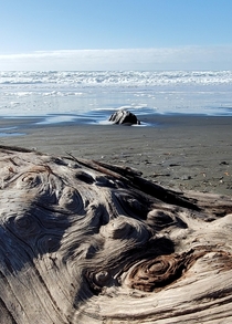 Dreamy driftwood Oregon coast 
