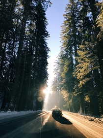 Driving over the Mt Hood pass in good ol Oregon in mid December Gotta love living in the PNW x 