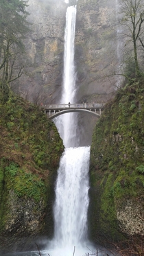 Drove to Portland last weekend specifically to go see Multnomah Falls - Oregon WA 