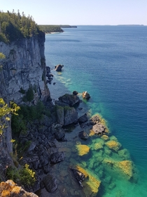 During a  hour hike with my SO Tobermory Ontario 