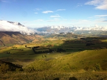During my hike around hillside in Cambridge New Zealand xpost rNZPHOTOS