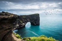 Dyrhlaey Cliffs - blue oceans and black cliffs near Vk Iceland  photo by Simon Gelfand