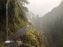 Eagle creek trail in the rain Columbia Gorge area Oregon USA 