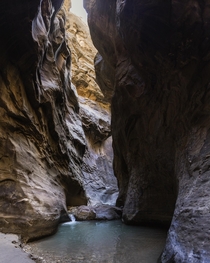 Early morning hike in the Narrows of Zion National Park 