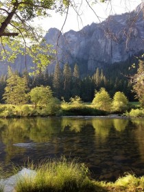 Early morning in Yosemite Valley 