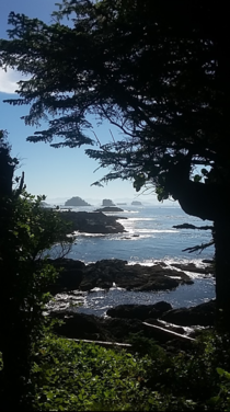 Early morning walk in Ucluelet BC in August  OC x