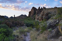 Early Morning Wander Through the Superstition Wilderness of Arizona 